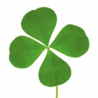 Dekorativna slika - EG-DG A - DG-AU2007