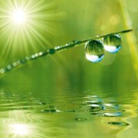 Dekorativna slika - EG-DG A - DG-DT1066