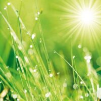 Dekorativna slika - EG-DG A - DG-DT1094