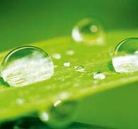 Dekorativna slika - EG-DG B - DG-DT2088