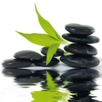 Dekorativna slika - EG-DG A - DG-DT2090