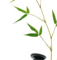 Dekorativna slika - EG-DG B - DG-DT3026