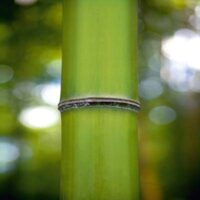 Dekorativna slika - EG-DG A - DG-SDL1087