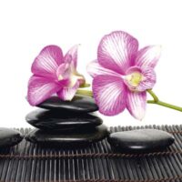 Dekorativna slika - EG-DG A - DGT-DT3078