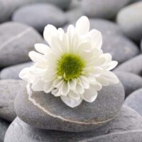 Dekorativna slika - EG-DG A - DGT-DT3081