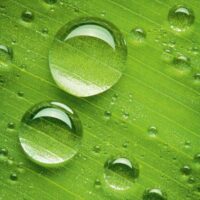 Dekorativna slika - EG-DG A - DGT-DT3084