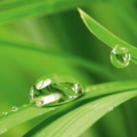 Dekorativna slika - EG-DG A - DGT-DT3085