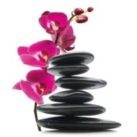 Dekorativna slika - EG-DG A - DGT-DT4004