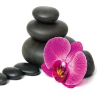 Dekorativna slika - EG-DG A - DGT-DT4006