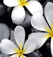 Dekorativna slika - EG-DG B - DGT-DT4039