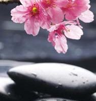 Dekorativna slika - EG-DG B - DGT-DT4040