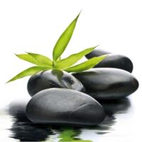 Dekorativna slika - EG-DG A - DT-5052