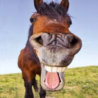 Dekorativna slika - EG-DG A - DT-5191