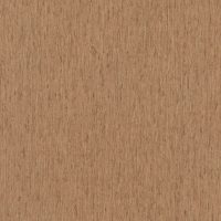RA571080