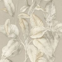 RA571455
