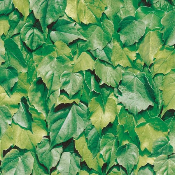 Samoljepljiva folija - Cora
